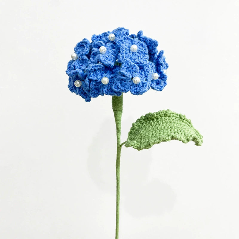 Hydrangea