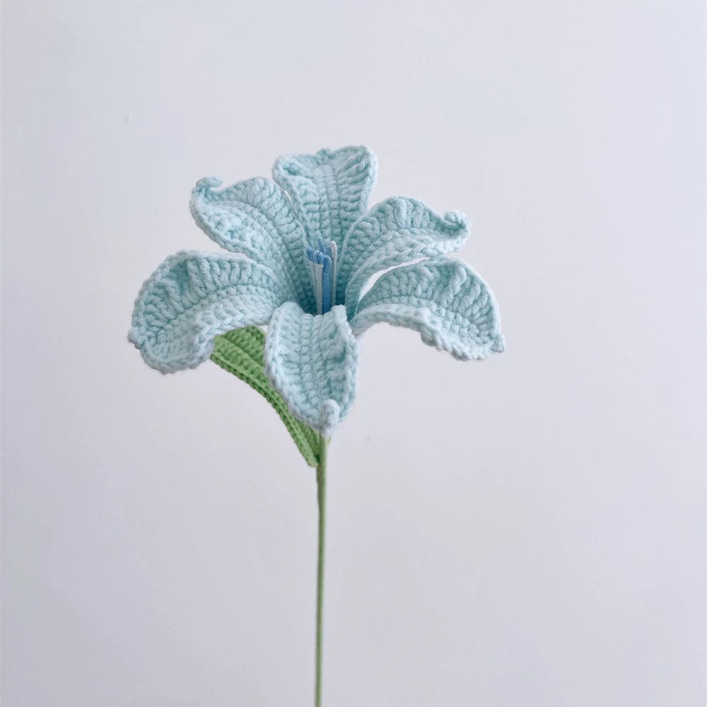 Peruvian Lily(light blue)