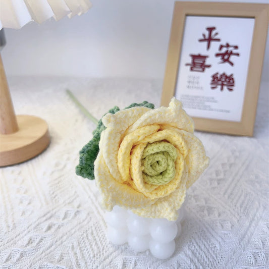 Thai Rose (Gradient cream yellow)